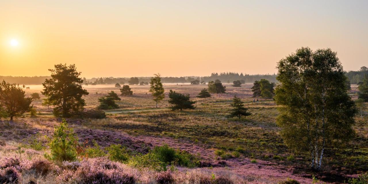 Herberg De Zwaan Elspeet Dış mekan fotoğraf