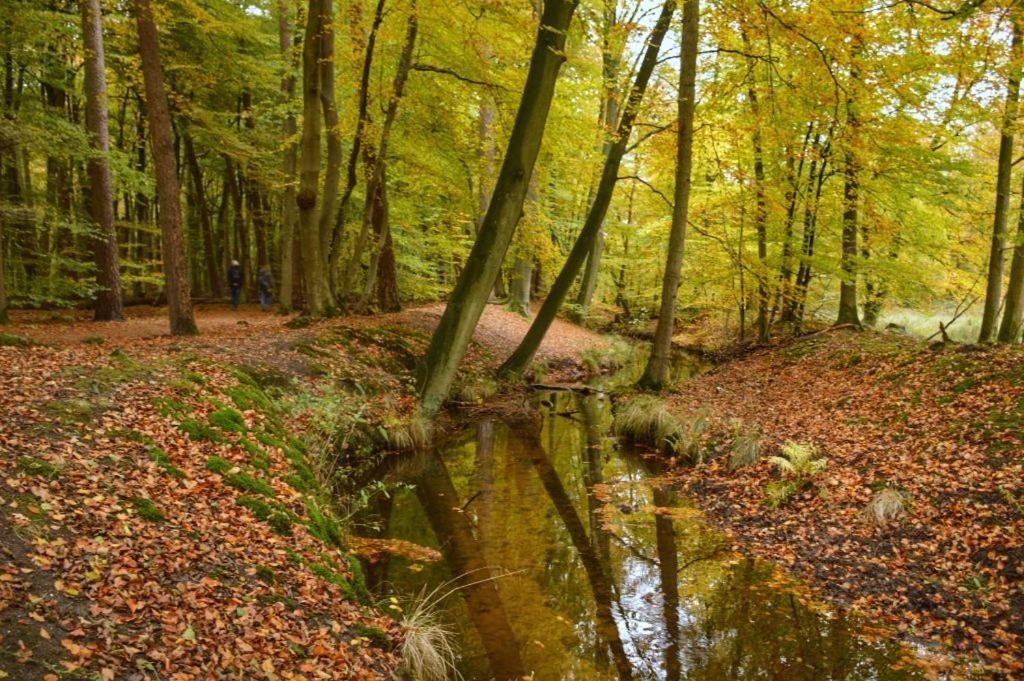 Herberg De Zwaan Elspeet Dış mekan fotoğraf